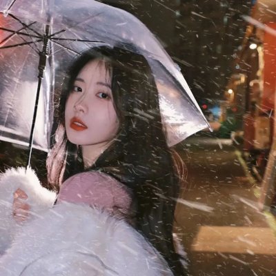 巴黎之花